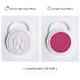 Photochromic Solvent Resistant Pigment